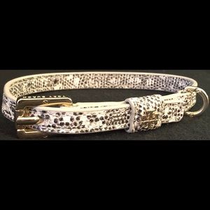 Tory Burch Dog Collar